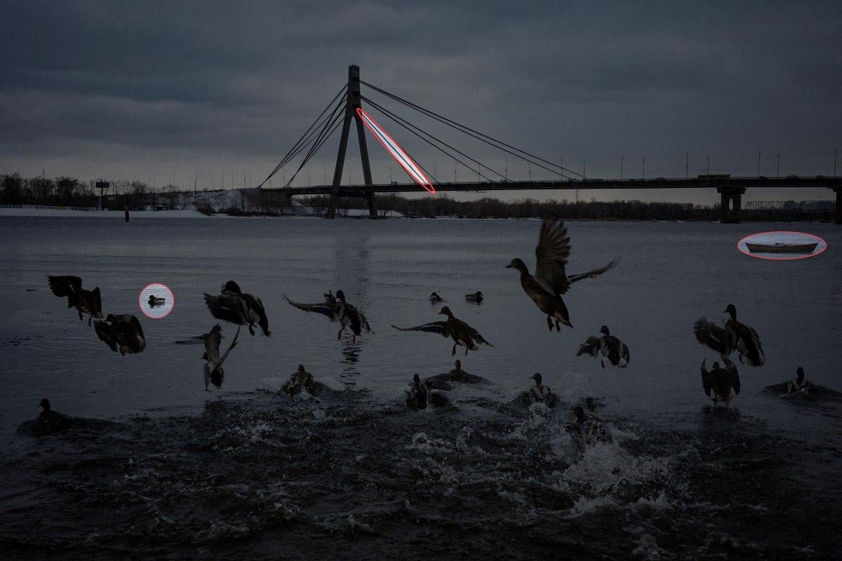 Hitta 3 skillnader på fotot med ankor på 10 sekunder: fantastiskt pussel