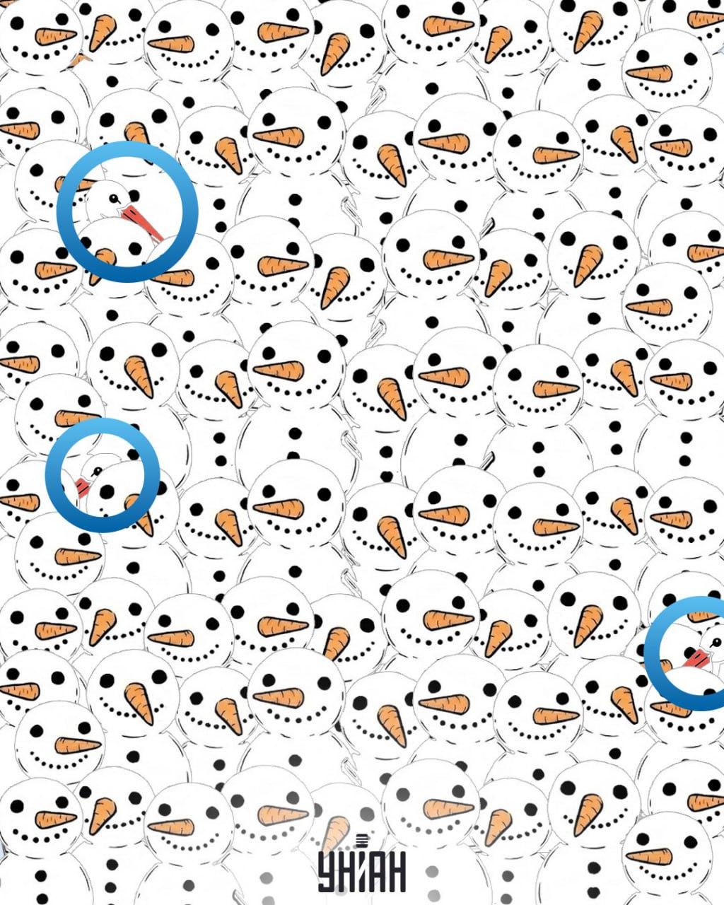 Hitta 3 storkar bland snögubbarna på 11 sekunder: en fantastisk optisk illusion