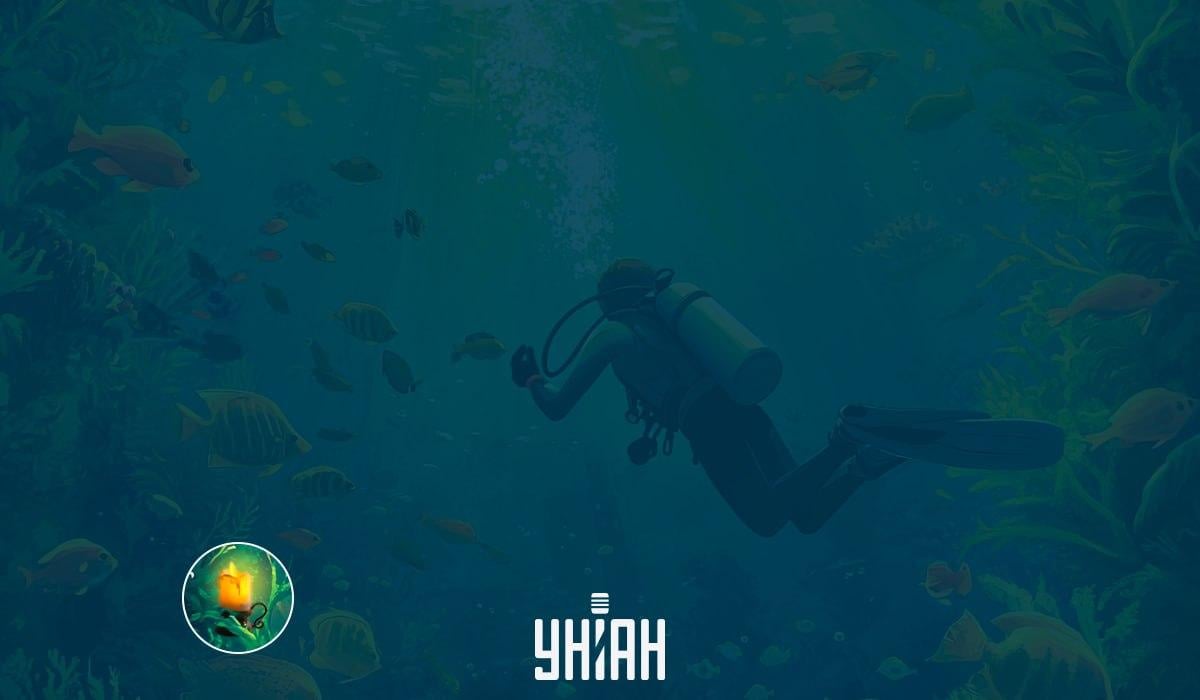 Bild IQ-test / bild Moje