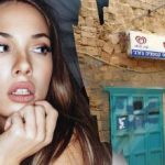 Bara ett geni skulle hitta en hund på gatan på