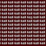 Ett pussel för supersmarta: hitta talet 623 på bara 32