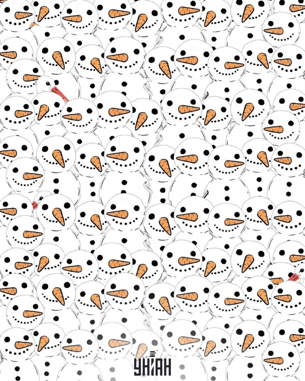 Hitta 3 storkar bland snögubbar på 11 sekunder: en fantastisk optisk illusion