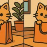 IQ-test: hitta 3 skillnader i en bild av en söt