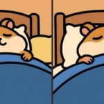 IQ-test: hitta 3 skillnader i en bild av en sovande